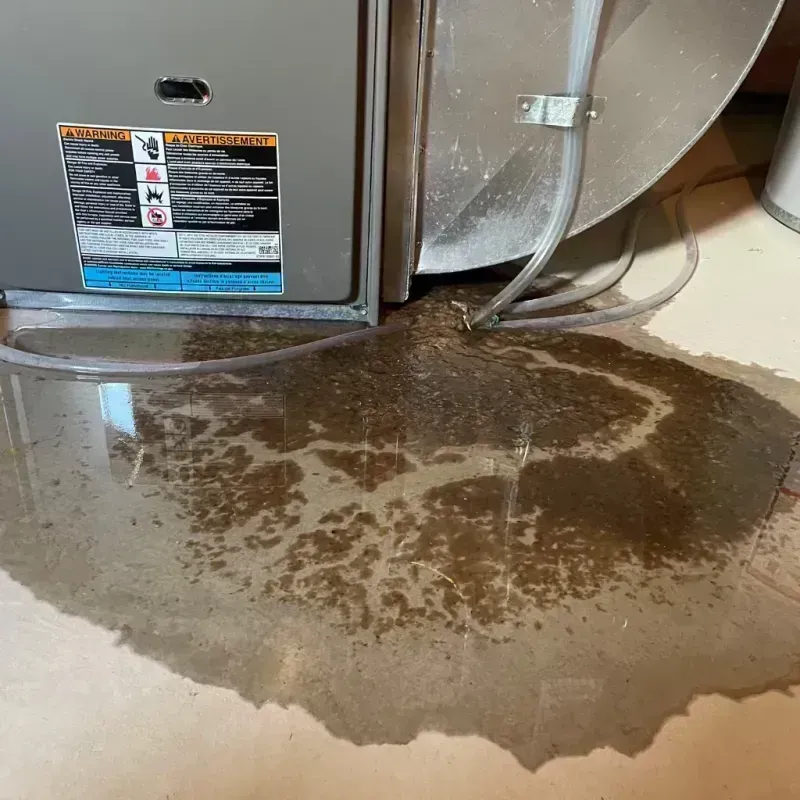 Appliance Leak Cleanup in Wabash County, IL